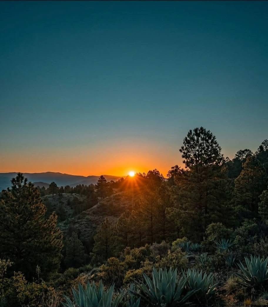 Atardecer real en el Bosque de Obsidiana